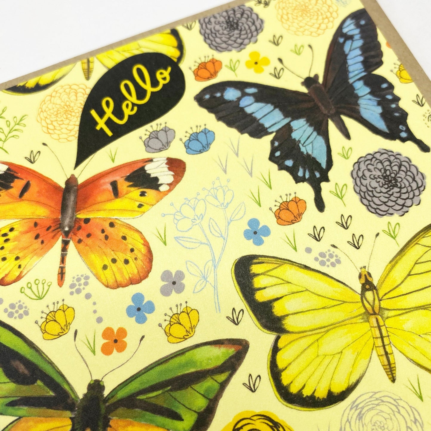 Boxed Set of 8 Cards-Hello Butterflies Greeting Cards-Wholesale