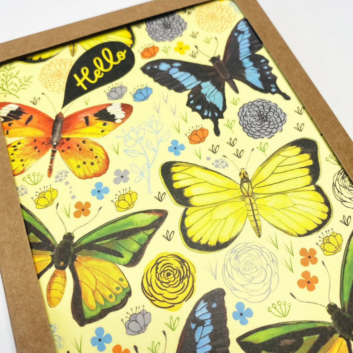 Boxed Set of 8 Cards-Hello Butterflies Greeting Cards-Wholesale