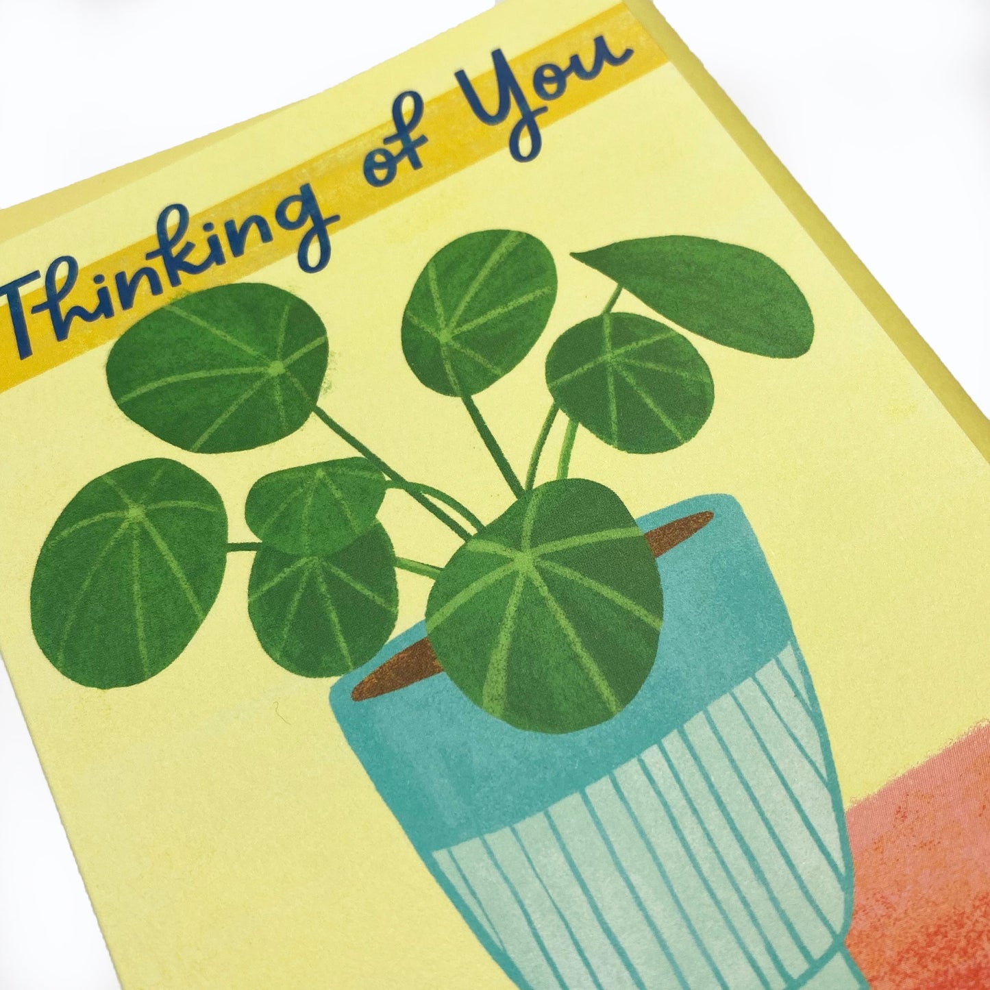 Boxed Set of 8 Cards-Thinking of You Pilea Plant Greeting Cards
