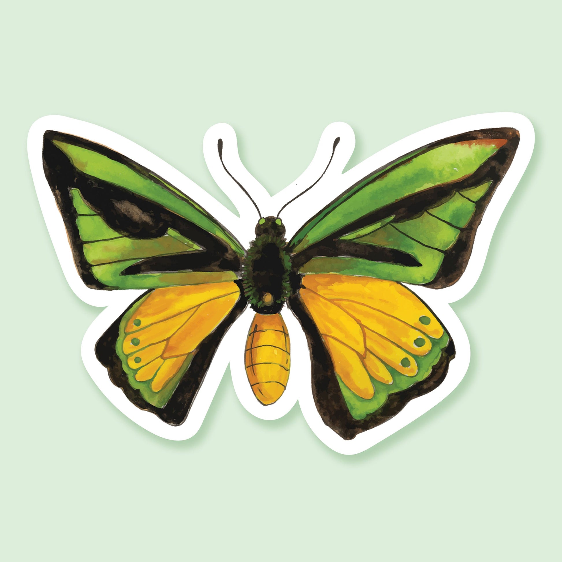 Green , Yellow and black handprinted butterfly sits atop a mint green background.